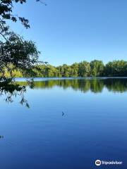 Walker's Pond