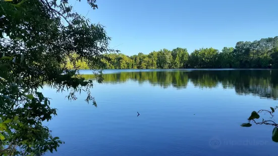 Walker's Pond