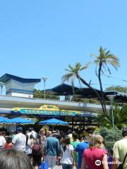 Finding Nemo Submarine Voyage