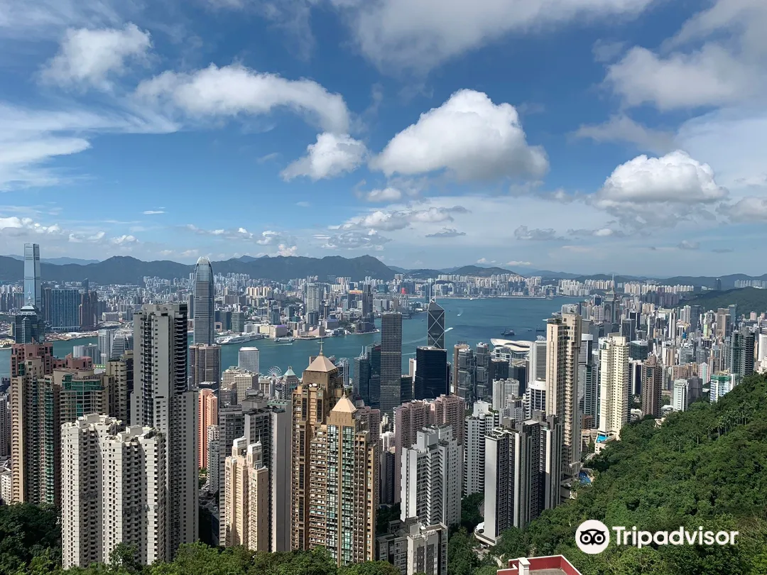 3_Hong Kong Greeters