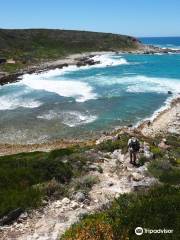 De Hoop Whale Trail