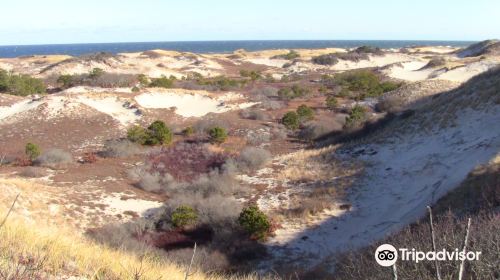 Sandy Neck Barrier Beach