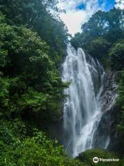 Mohini falls