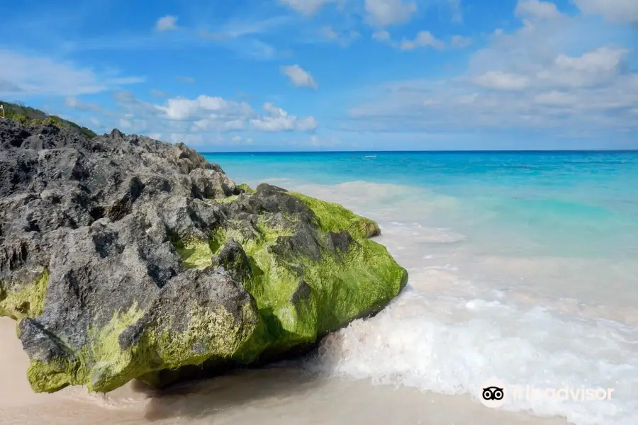 Elbow Beach