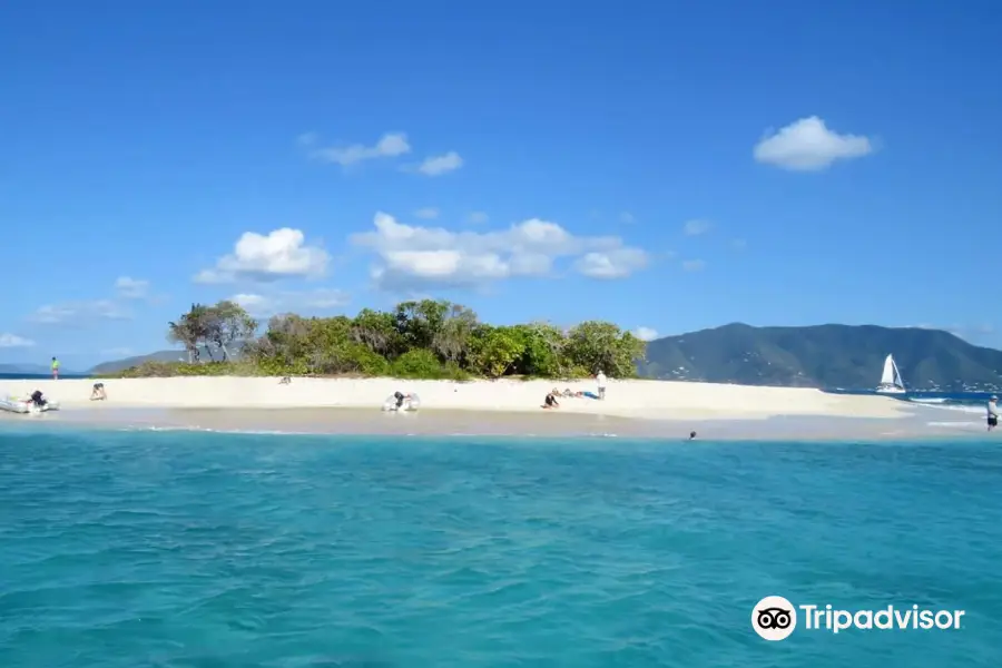 Pirate Girl Charters / Crabby's Water Sports