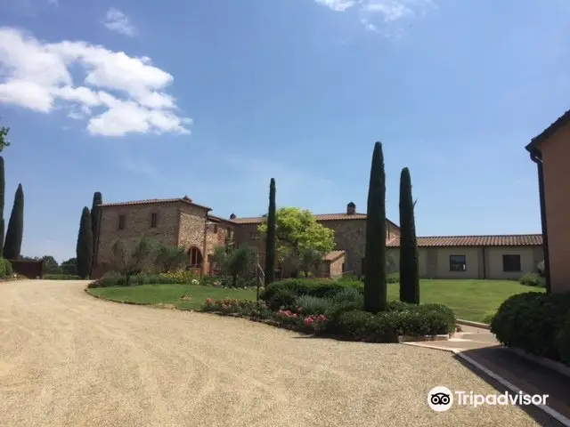Tenuta Santavenere - Casa Vinicola Triacca