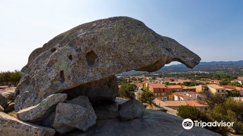 Roccia del Fungo