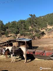 Sombrero Stables