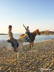 Naxos Horse Club