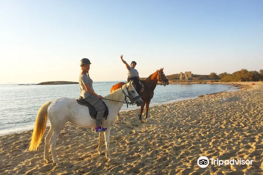 Naxos Horse Club