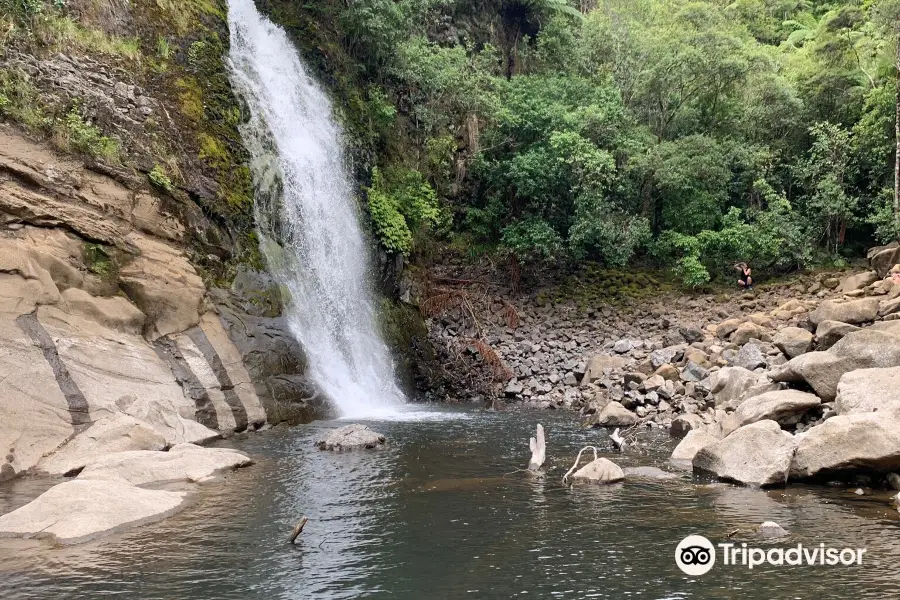 Nihotupu falls and dam