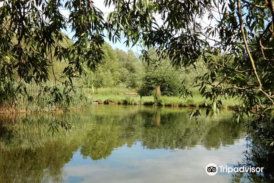 Caldy Nature Park