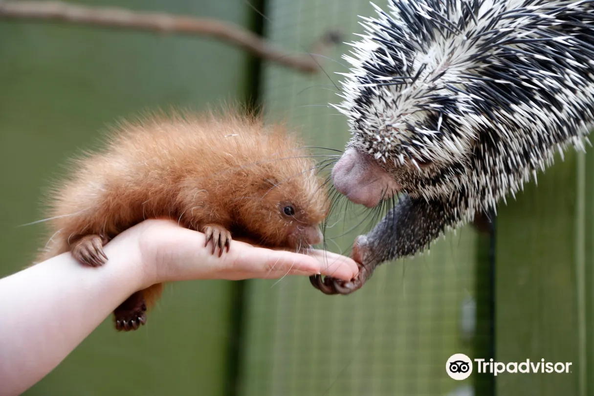 3_Roger Williams Park Zoo