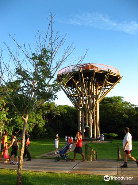 Vé máy bay Perth Cuiaba