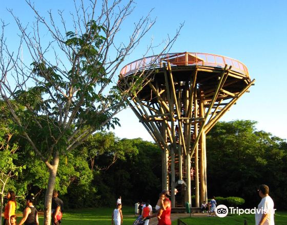 庫亞巴 自由行套票