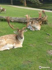 Marselisborg Deer Park