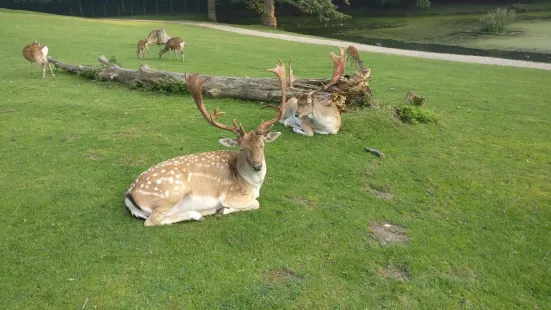 Marselisborg Deer Park