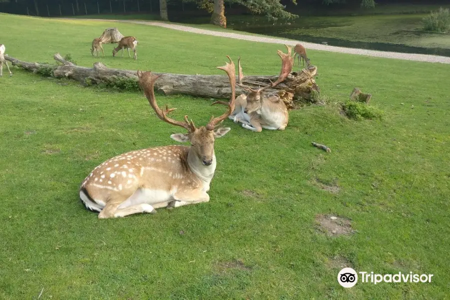 Marselisborg Deer Park