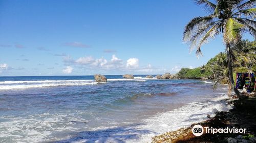 Bathsheba Beach