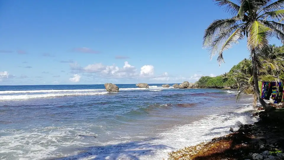 4_Bathsheba Beach