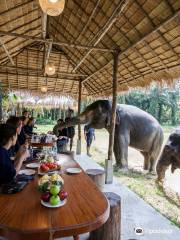 Krabi Elephant HOUSE Sanctuary