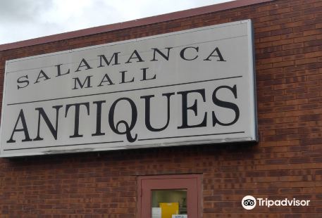 Salamanca Mall Antiques