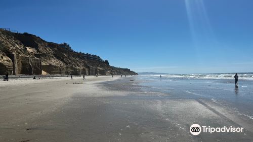 Fletcher Cove Beach Park