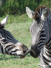 Natural Bridge Zoo