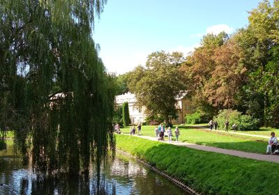 Naleczow