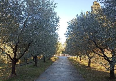 Cistercian Abbey of St. Mary of Piona