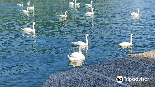 Esplanade am Traunsee