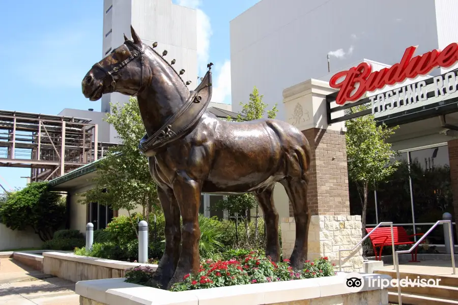 Budweiser Brewery Experience