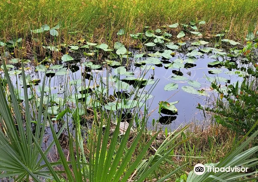 Loxahatchee Slough Natural Area