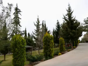 바블로 공원