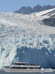 Kenai Fjords Tours