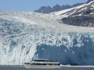 Kenai Fjords Tours