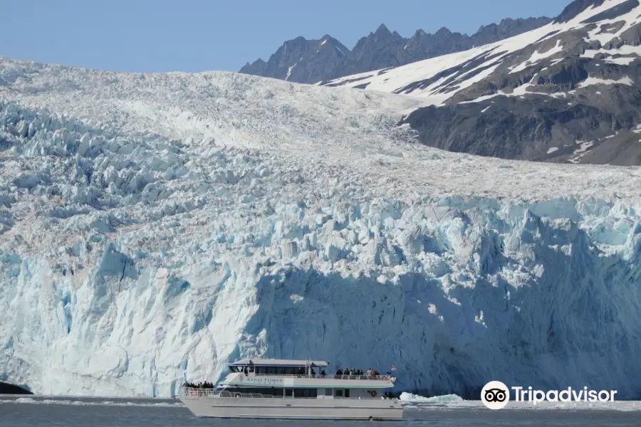 Kenai Fjords Tours