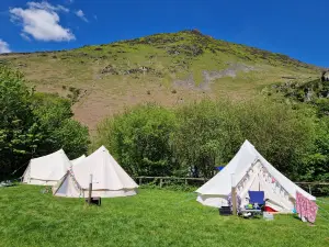 Llyn Gwynant