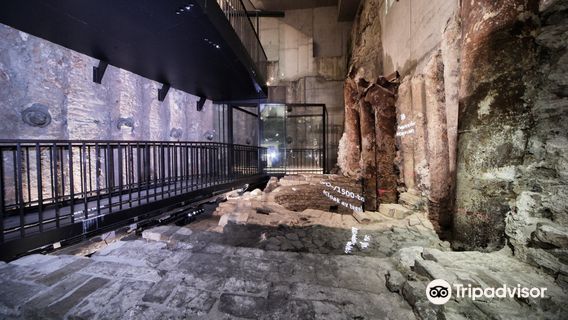 European Hansemuseum