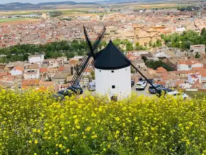 Molinos de Alcazar de San Juan