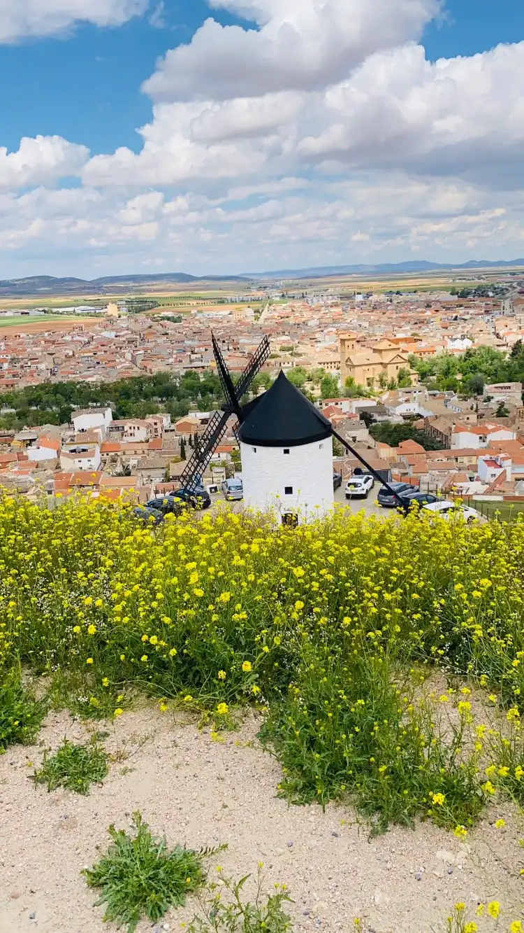 Hotels in Campo de San Juan