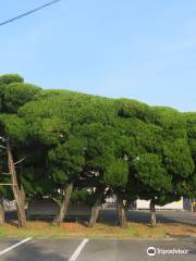 福江城(石田城)跡