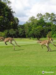 Mareeba Golf Club