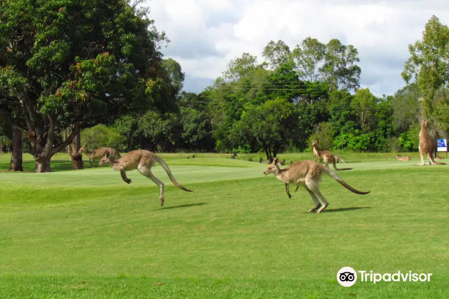 Mareeba Golf Club