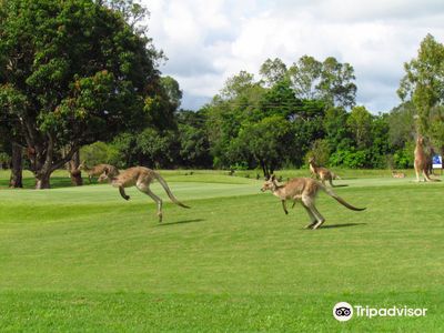Mareeba Golf Club