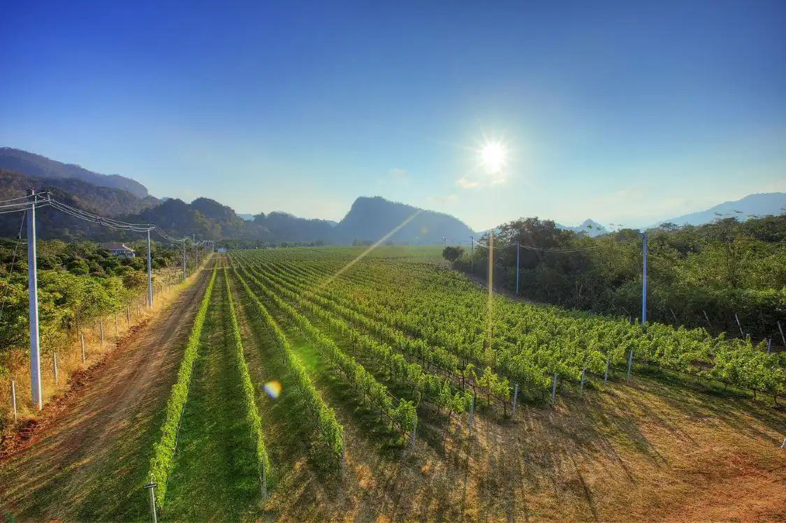 Hotels near GranMonte Vineyard and Winery ไร่องุ่นกราน-มอนเต้