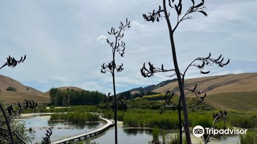 Pekapeka Wetlands