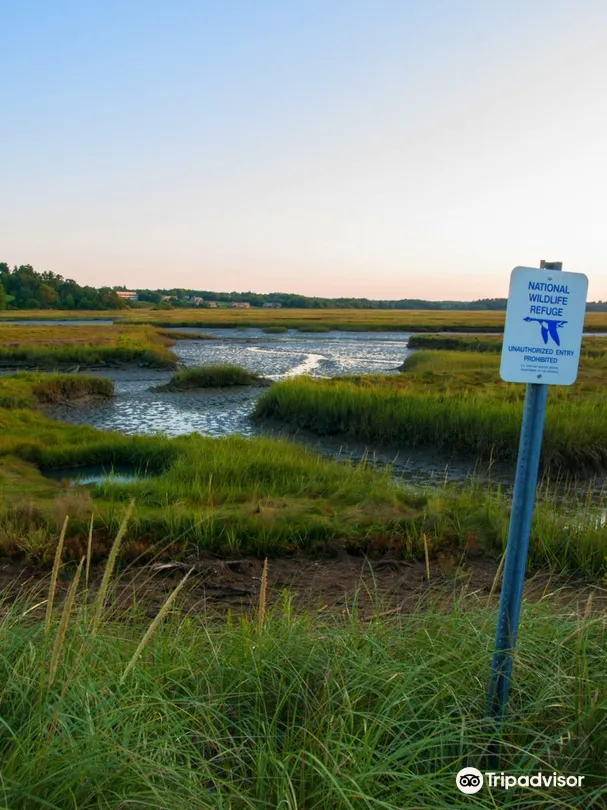3_Rachel Carson National Wildlife Refuge