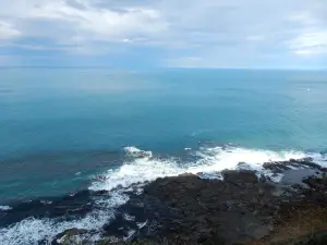 坎尼特河沿岸考拉步行道