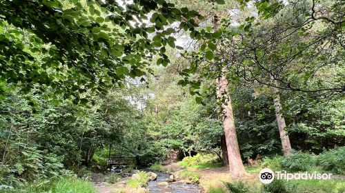 Wyming Brook Nature Reserve